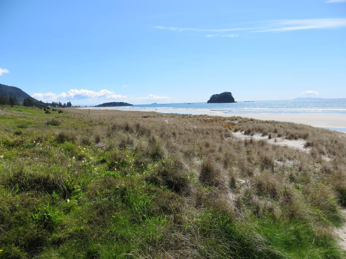 Cutterscove Resort Apartments Mount Maunganui Exterior photo
